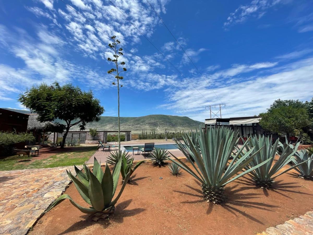 Casa Regina Oaxaca Βίλα San Pablo Villa de Mitla Εξωτερικό φωτογραφία
