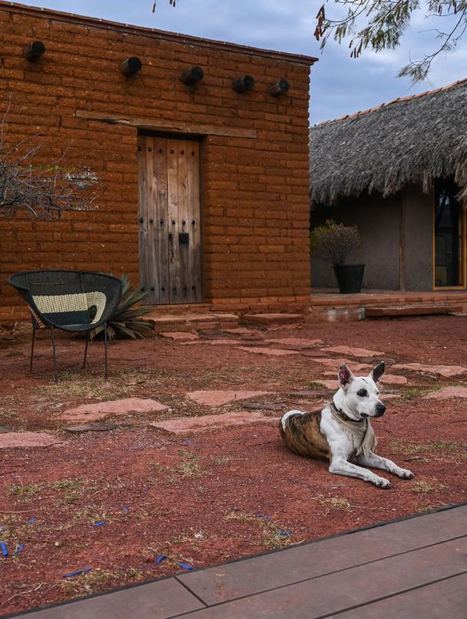 Casa Regina Oaxaca Βίλα San Pablo Villa de Mitla Εξωτερικό φωτογραφία