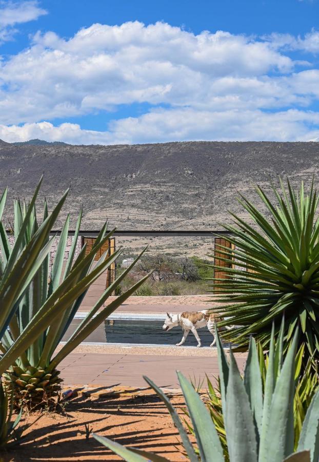 Casa Regina Oaxaca Βίλα San Pablo Villa de Mitla Εξωτερικό φωτογραφία